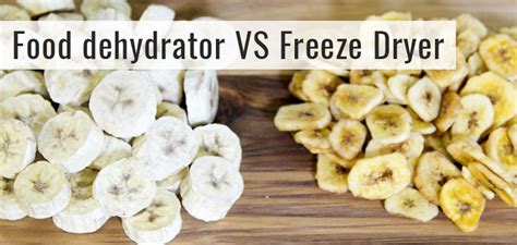 freeze dryer vs dehydrator|does freeze drying destroy nutrients.